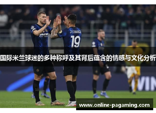 国际米兰球迷的多种称呼及其背后蕴含的情感与文化分析
