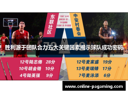 胜利源于团队合力五大关键因素揭示球队成功密码