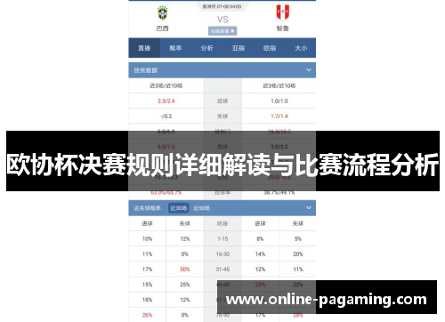 欧协杯决赛规则详细解读与比赛流程分析